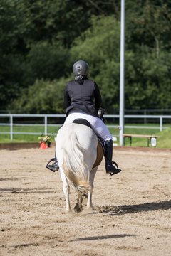 Bild 337 - Pony Akademie Turnier